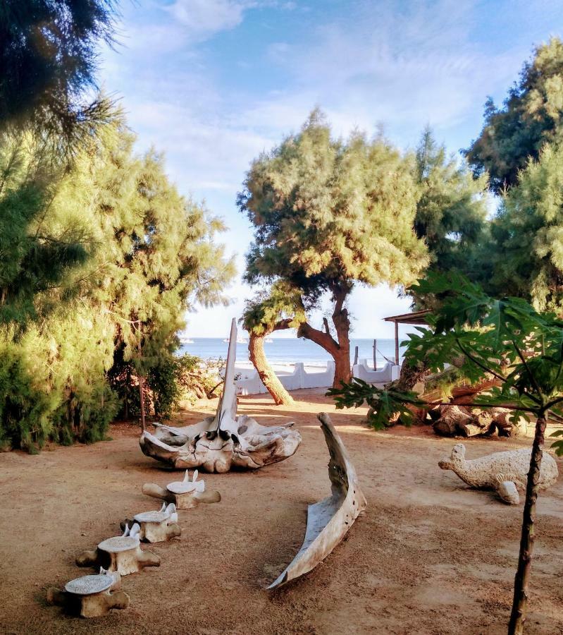 Punta Ballenas Mancora Lodge المظهر الخارجي الصورة